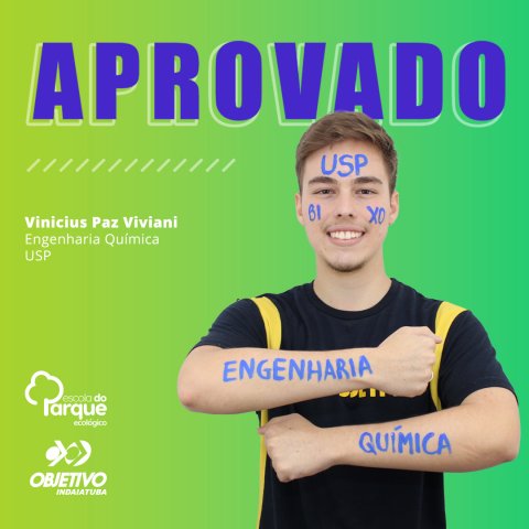 Vinicius Paz Viviani