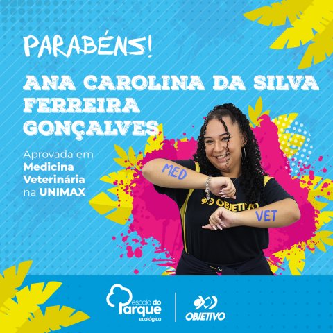 Ana Carolina da Silva Ferreira Gonçalves