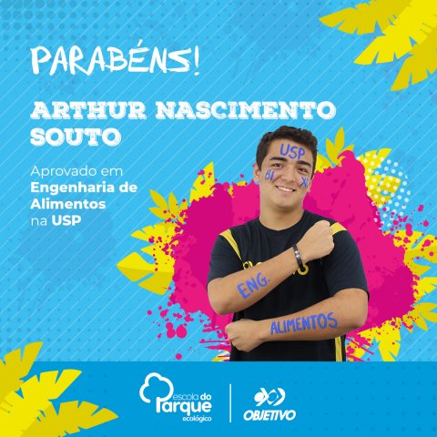 Arthur Nascimento Souto