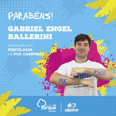 Gabriel Engel Ballerini