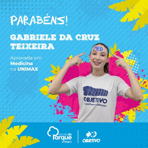 Gabriele da Cruz Teixeira