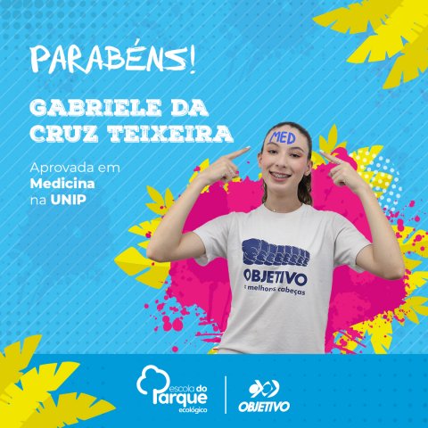 Gabriele da Cruz Teixeira