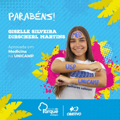 Giselle Silveira Dirschcerl Martins