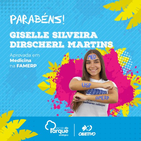 Giselle Silveira Dirschcerl Martins