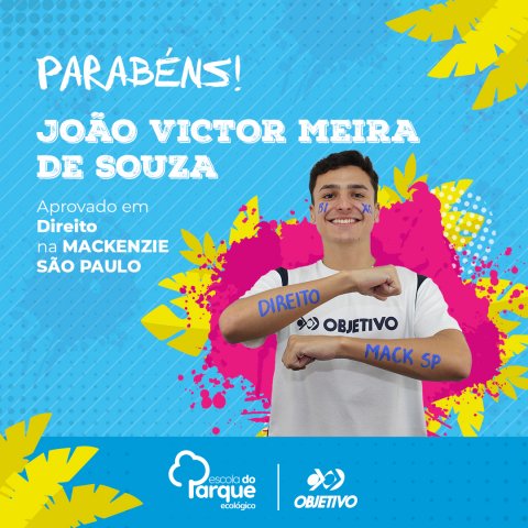 João Victor Meira de Souza