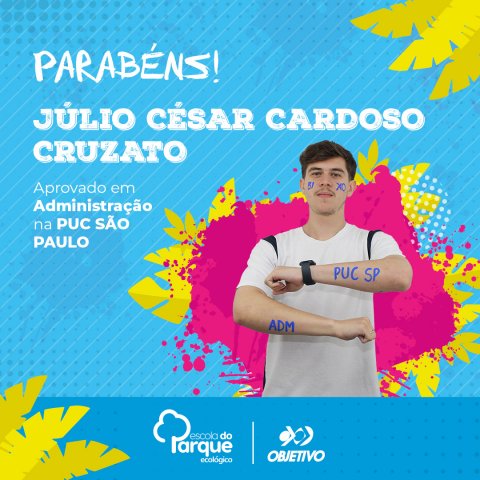 Júlio Cesar Cardoso Cruzato