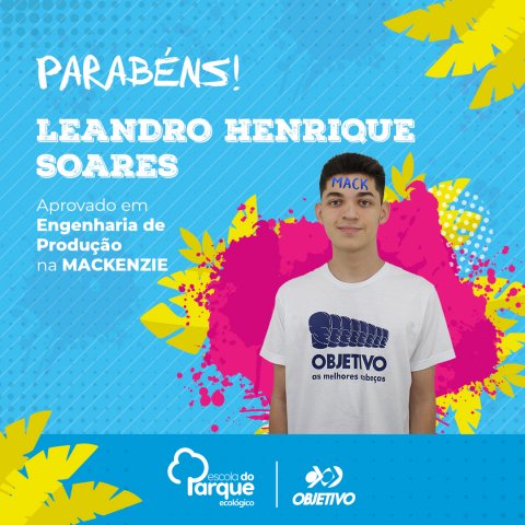 Leandro Henrique Soares