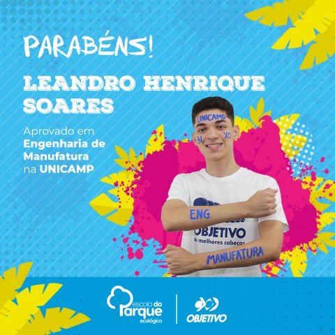 Leandro Henrique Soares