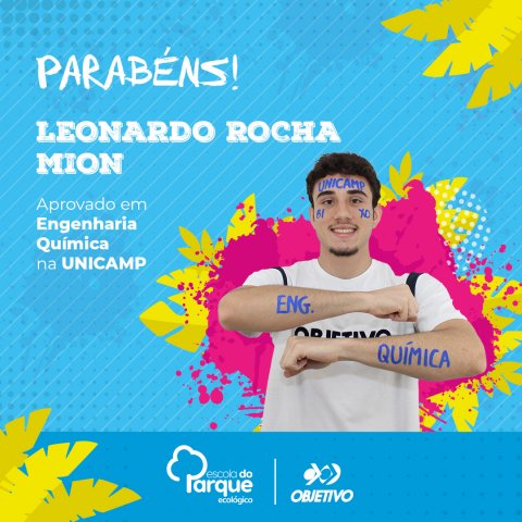 Leonardo Rocha Mion