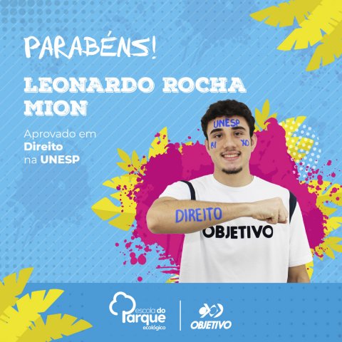 Leonardo Rocha Mion