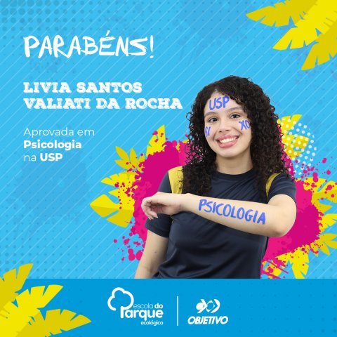 Livia Santos Valiati da Rocha