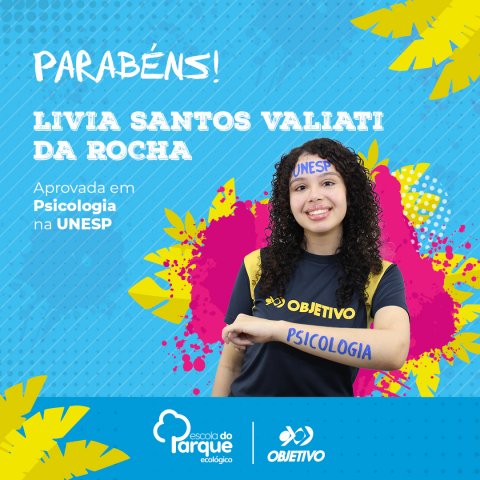 Livia Santos Valiati da Rocha