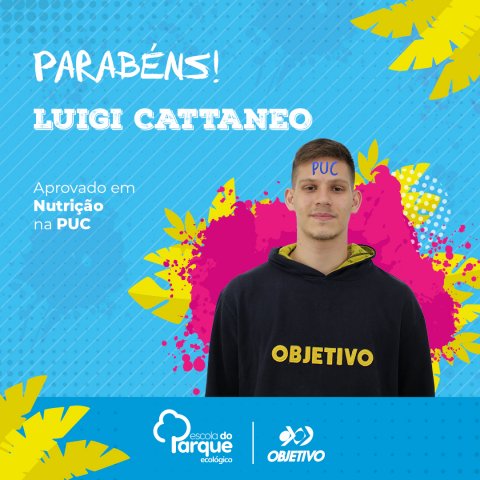 Luigi Cattaneo