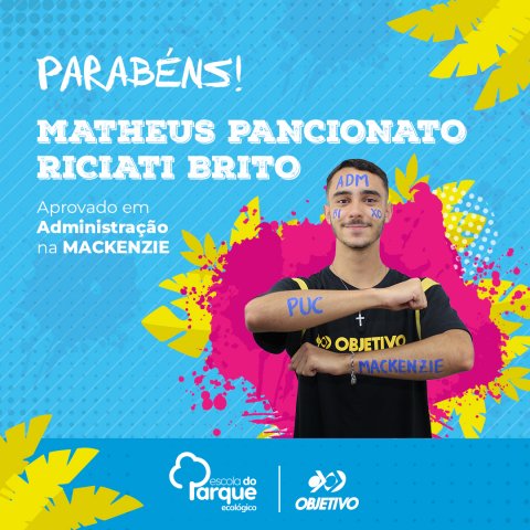 Matheus Pancionato Riciati Brito