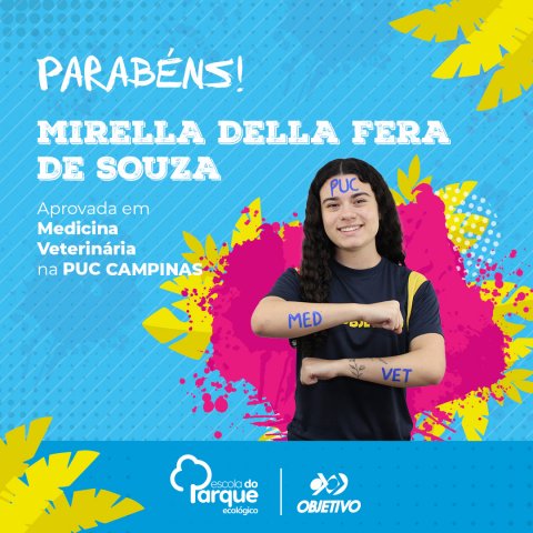 Mirella Della Fera de Souza