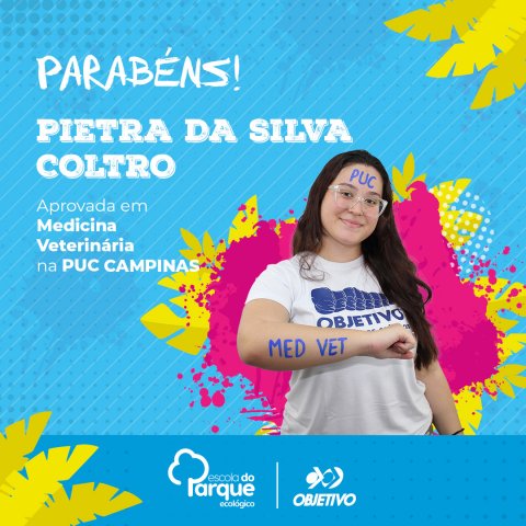 Pietra da Silva Coltro