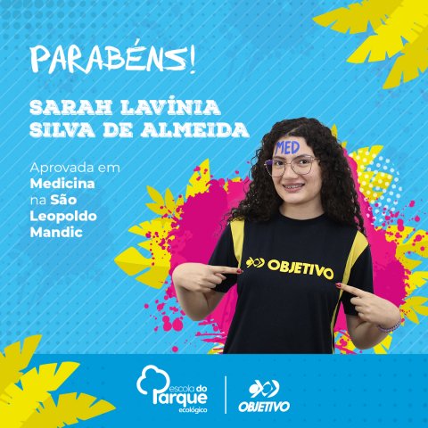 Sarah Lavínia Silva de Almeida