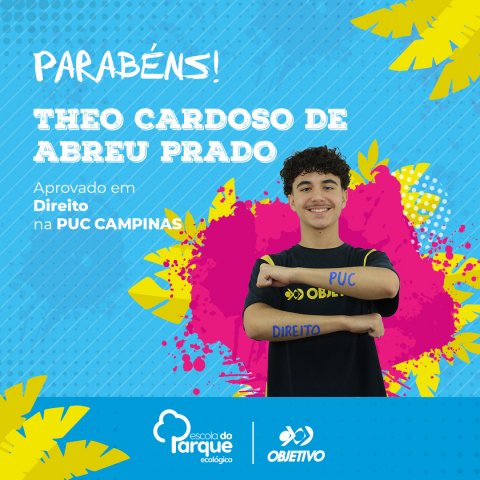 Theo Cardoso de Abreu Prado