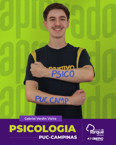 Gabriel Verdin Vieira