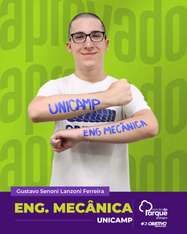 Gustavo Senoni Lanzoni Ferreira