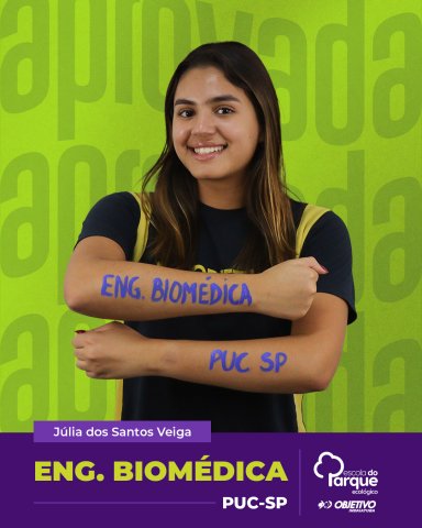 Julia dos Santos Veiga 