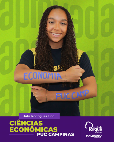 Julia Rodrigues Lino 