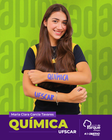 Maria Clara Garcia Tavares