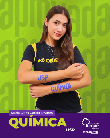 Maria Clara Garcia Tavares