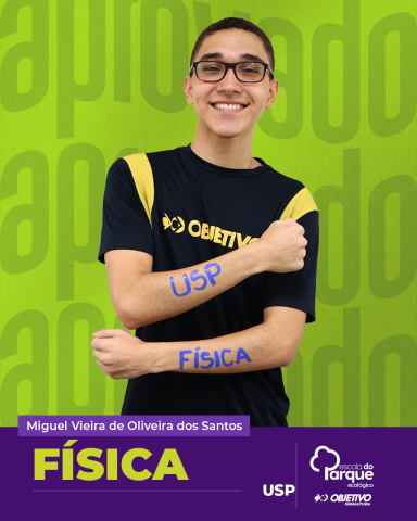 Miguel Vieira de Oliveira dos Santos