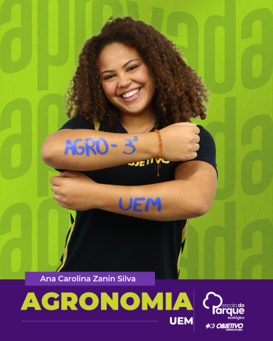 Ana Carolina Zanin Silva