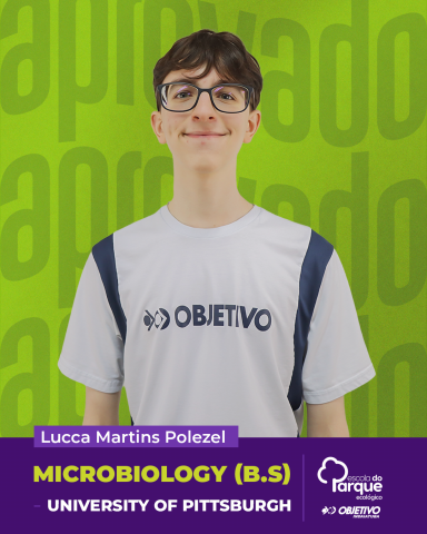 Lucca Martins Polezel 