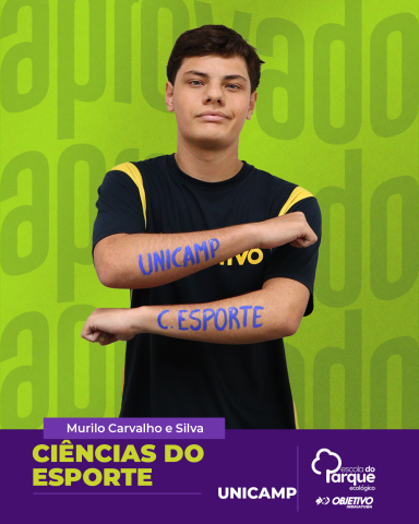 Murilo Carvalho e Silva